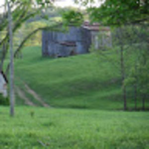 Meet your Posher, Janie